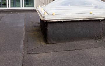disadvantages of Four Mile Bridge flat roofs